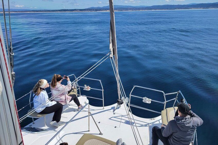 Catamaran Sailing Cruise in Monterey 5