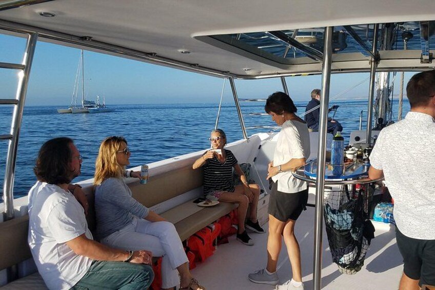 Catamaran Sailing Cruise in Monterey 4