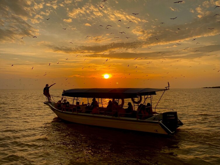 Kuala Selangor: Eagle Watching + Fireflies + Blue Tears Tour 2