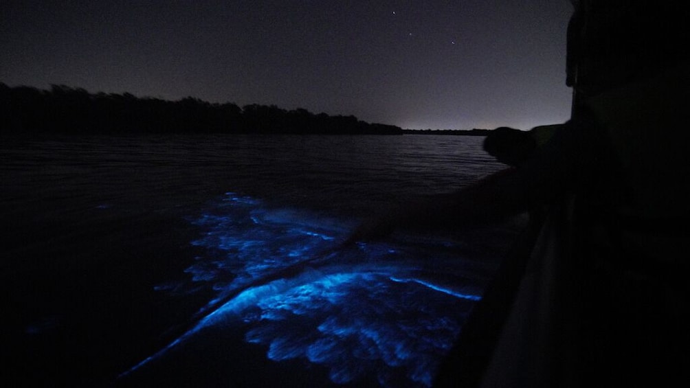 Kuala Selangor: Blue Tears Experience Tour 2