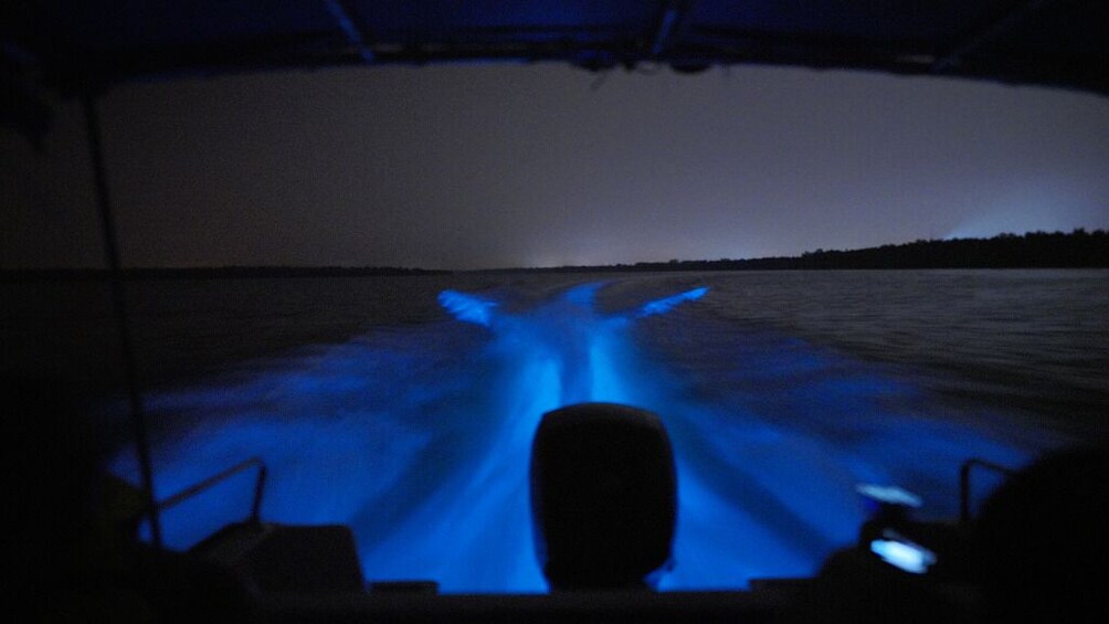 Kuala Selangor: Blue Tears Experience Tour 4