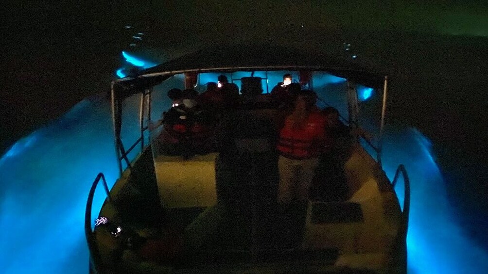 Kuala Selangor: Blue Tears Experience Tour 3