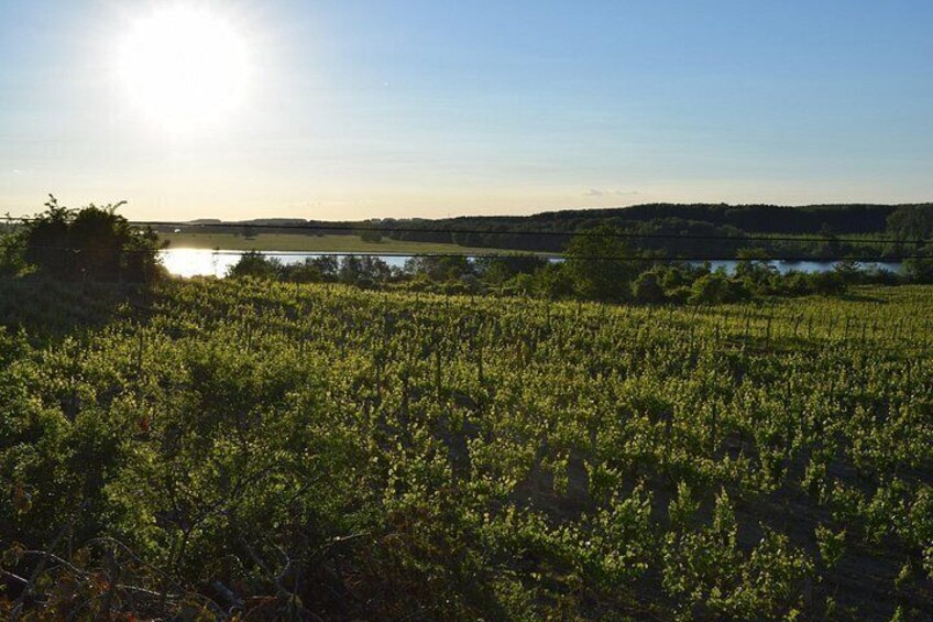 Bike & Wine Tour to the Bulgarian Coast 3