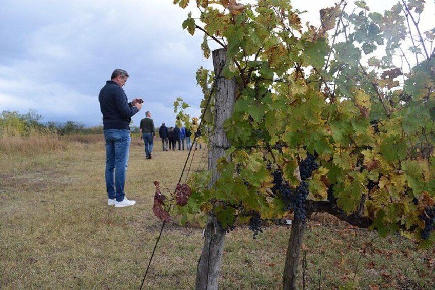 Bike & Wine Tour to the Bulgarian Coast 2