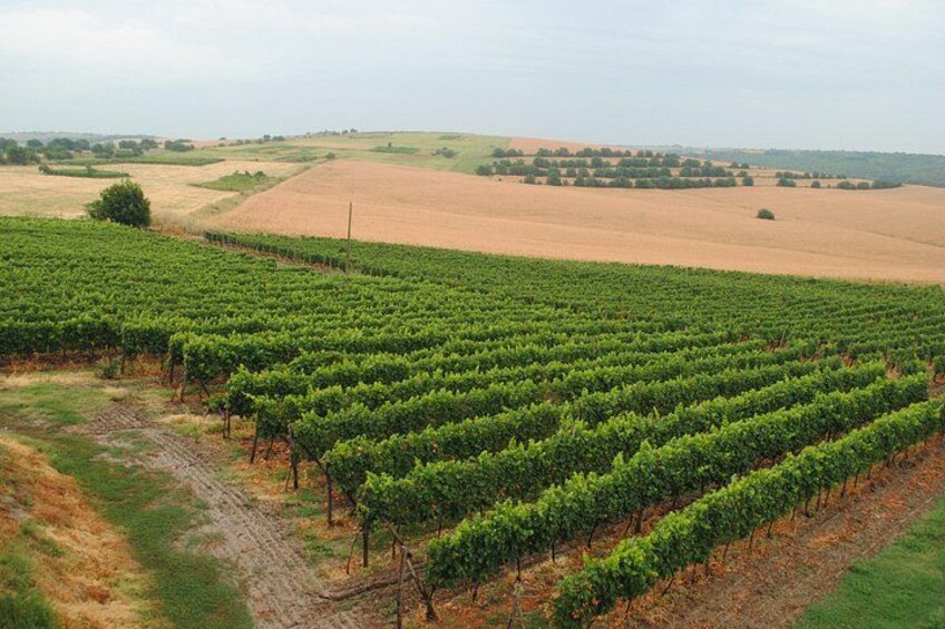 Bike & Wine Tour to the Bulgarian Coast 4