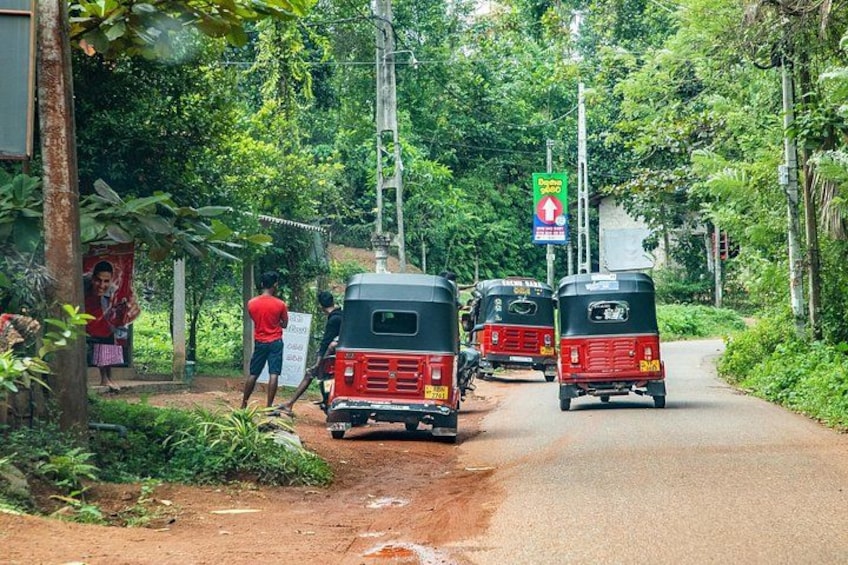 Private Tour Tuk-Tuk Adventures Rainforest and Beach Hopping 4