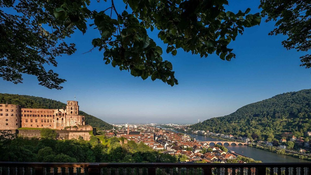 Picture 7 for Activity Heidelberg: Sightseeing Bus and Castle Tour 5