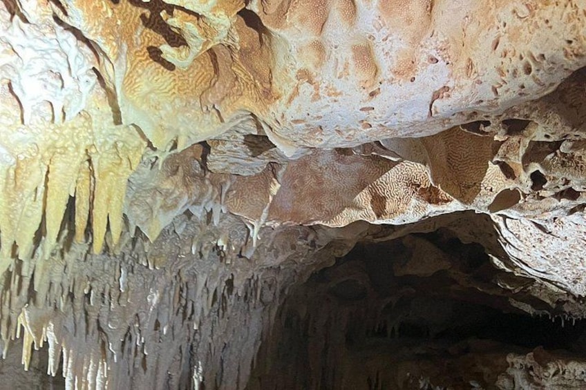 Bonaire CaveTour Climb, Snorkel & Explore the Hidden Gems 2