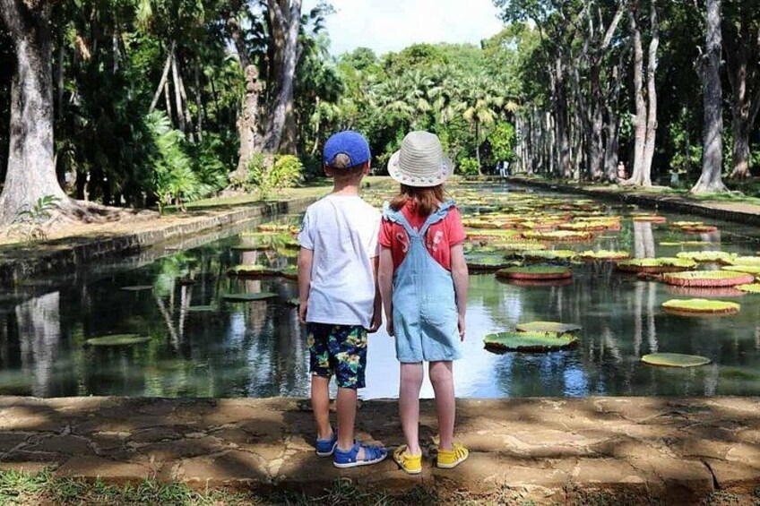 Dos niños de pie junto a un estanque cubierto de lirios, rodeado de árboles. 5