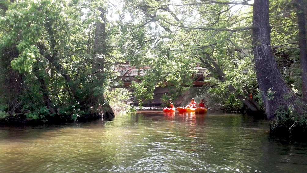 A river with kayakers in orange rafts. 4