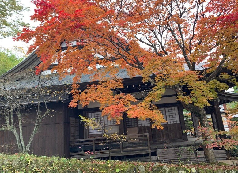 Picture 13 for Activity Takayama: Local Food Tasting & Walking Tour 5