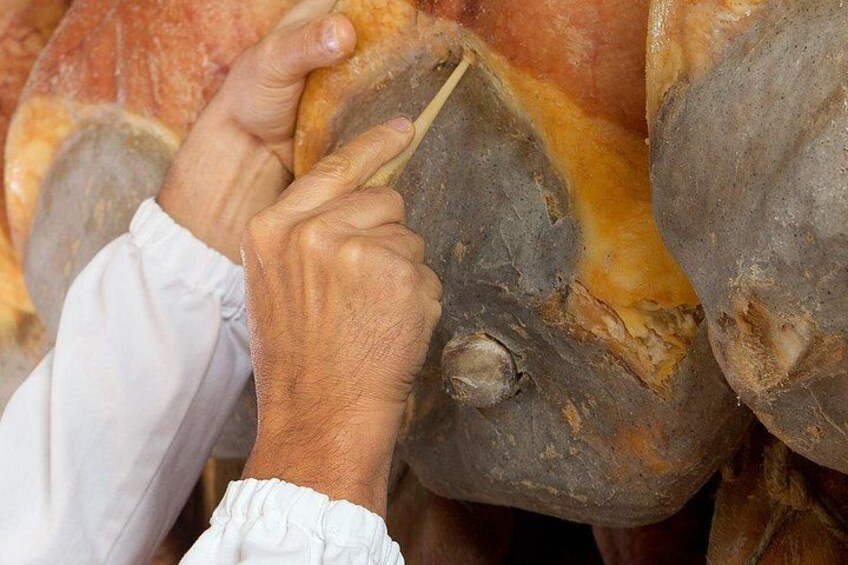 Iemand bekijkt de poot van een groot dier, mogelijk een koe, met de nadruk op de hoef. 3