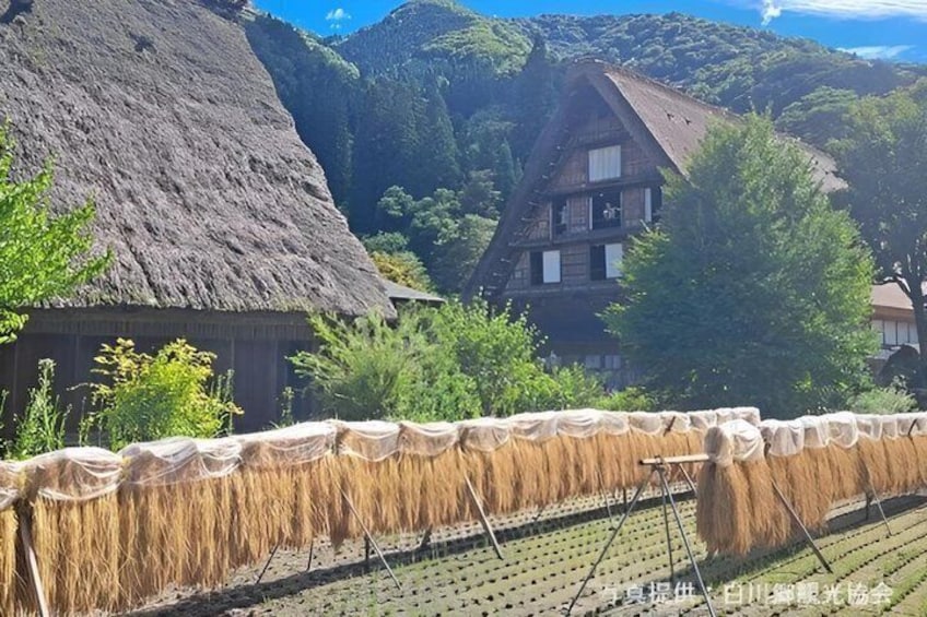 Shirakawago & Takayama Full Day Tour from Kanazawa 4