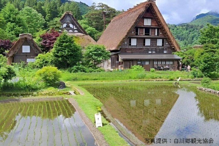 Shirakawago & Takayama Full Day Tour from Kanazawa 1