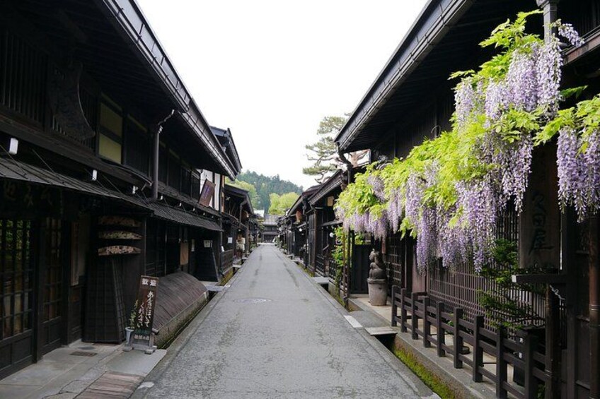 Une rue typique, bordée de bâtiments en bois, ornée de guirlandes de fleurs violettes, et sous un ciel dégagé. 5