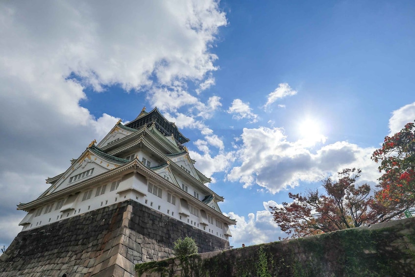 Picture 1 for Activity Osaka Castle & Local Neighborhoods 5h Bike Tour with Lunch 3