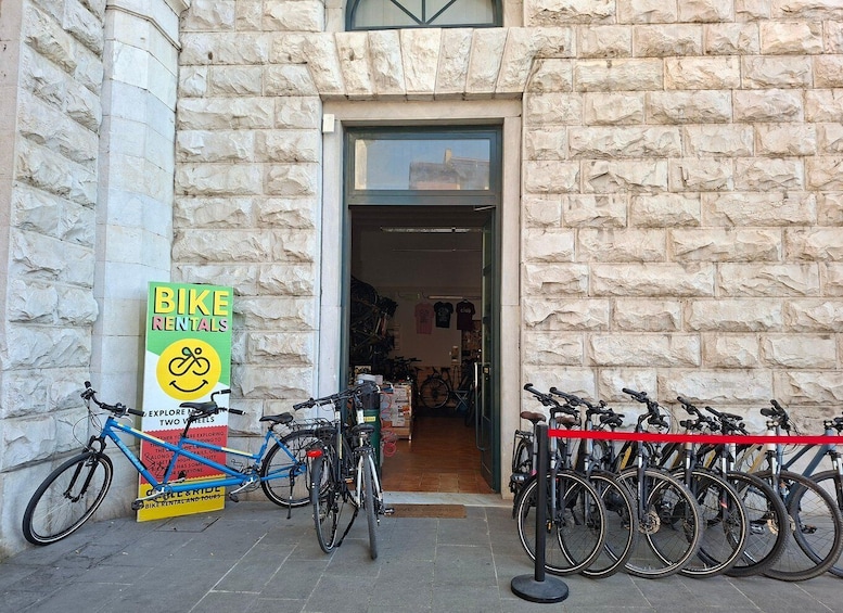Picture 9 for Activity Pisa: Self-Guided Bike Tour to the Sea 2