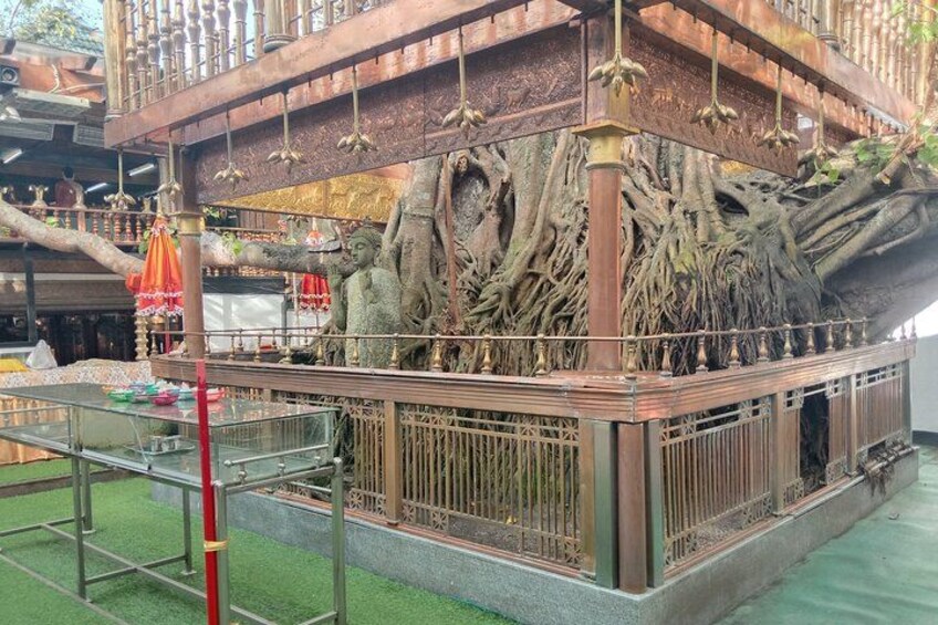 A traditional structure with a large tree trunk and metal railing. 3