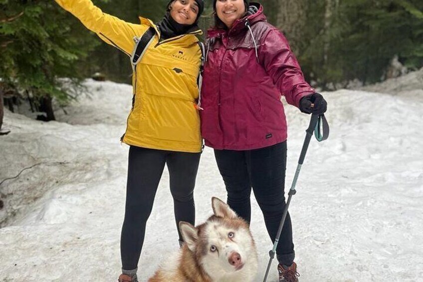 Husky Private Hikes in Bowen Island