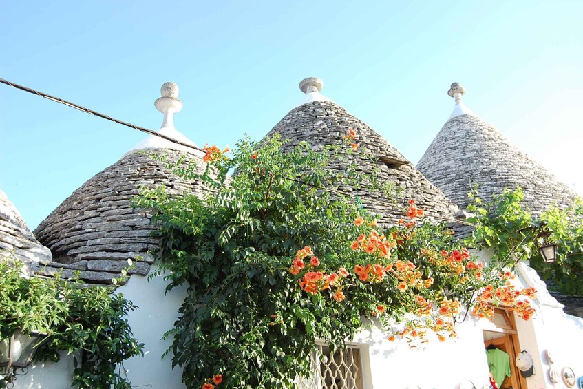 Alberobello: History Walking Tour 1