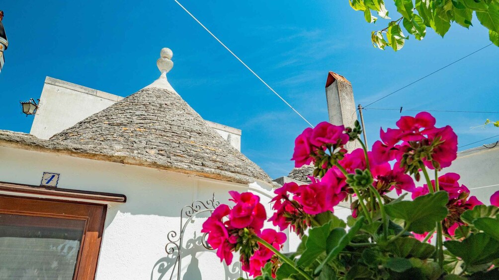Picture 7 for Activity Alberobello: History Walking Tour 3