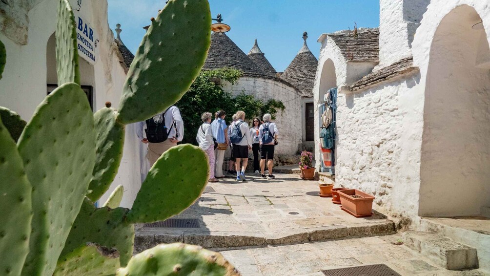 Picture 4 for Activity Alberobello: History Walking Tour 2