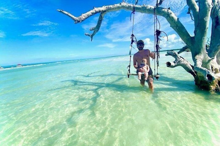 Half Day Luxury Boat Tour in Tampa with Snorkeling 1