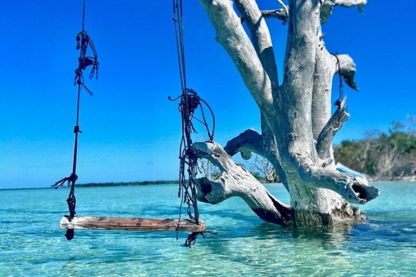 Half Day Luxury Boat Tour in Tampa with Snorkeling 5