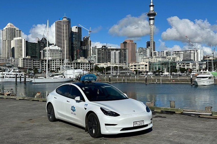 A white Tesla parked by a waterfront with a city skyline in the background. 3