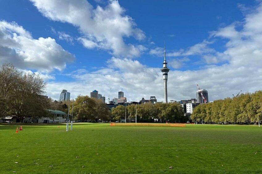 A park with a green field, trees, and a city skyline with a tall tower. 4