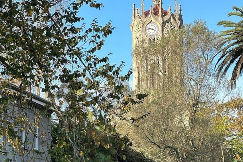 A clock tower with a clock face, surrounded by trees and foliage. 5