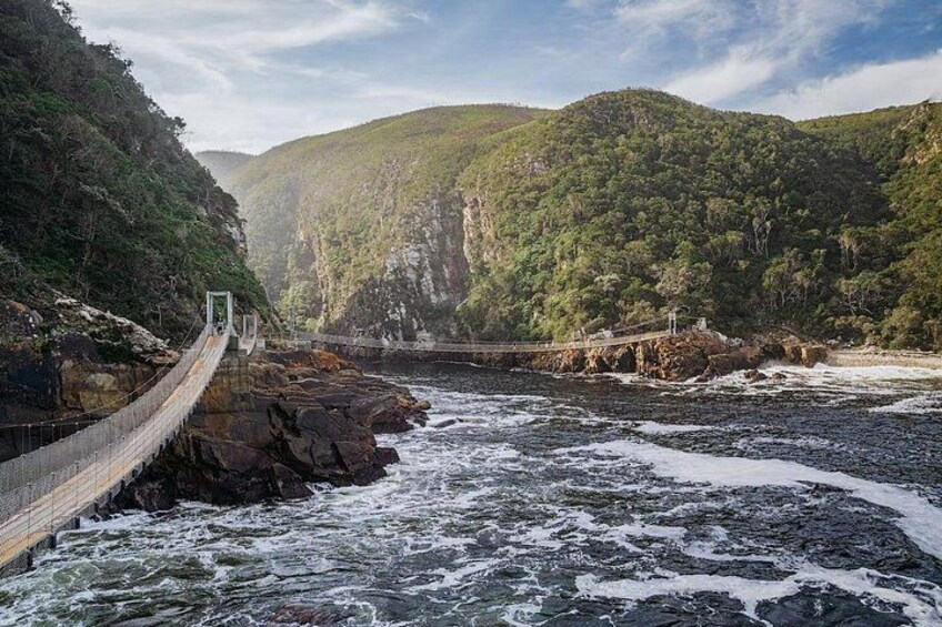 3- Day Garden Route Private Tour from Cape Town 1