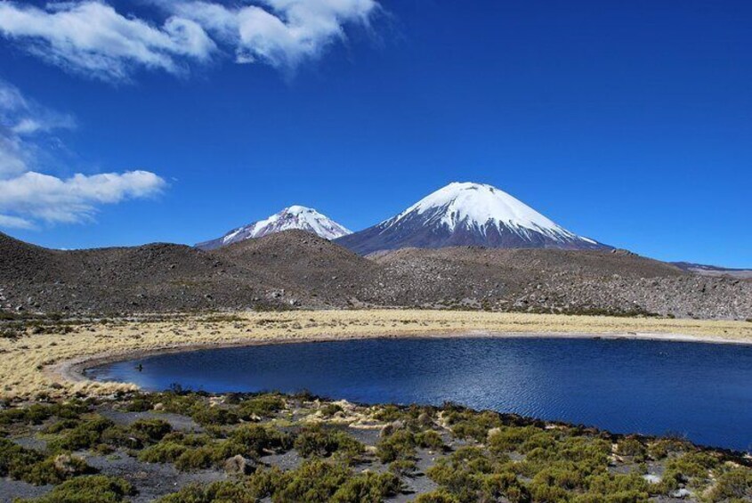 Arica: Full day to Lauca National Park and Chungara Lake, meals included