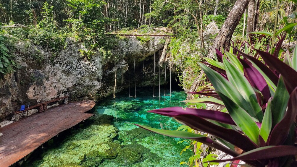 Ein natürlicher Pool mit klarem Wasser, umgeben von üppiger Vegetation und felsigen Klippen. 1