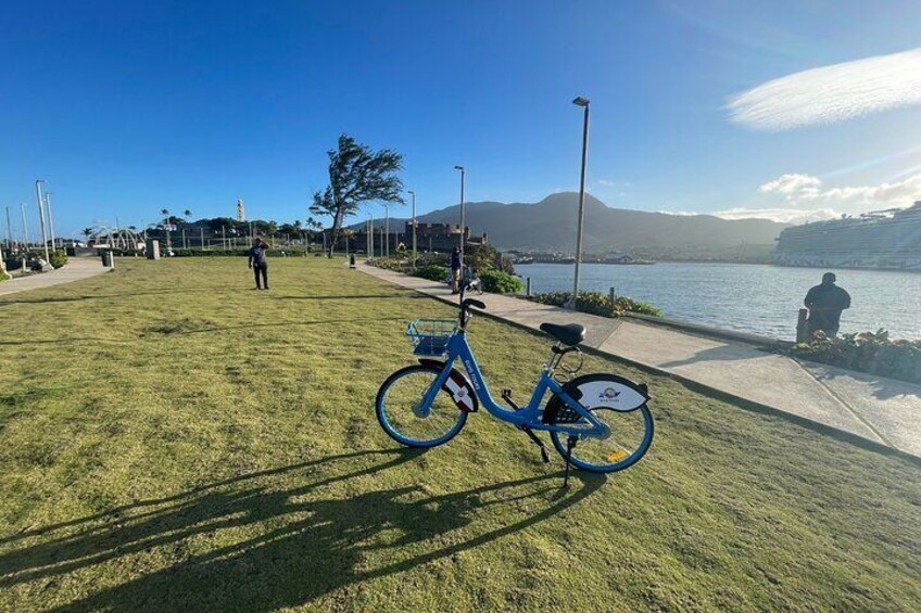 A blue bicycle parked on a grassy area near a waterfront with a clear sky and mountains in the background. 4
