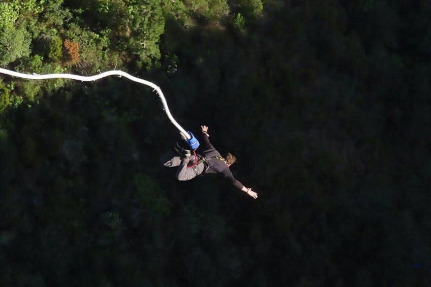 Una persona haciendo bungee jumping desde un punto elevado, con un área boscosa abajo. 4