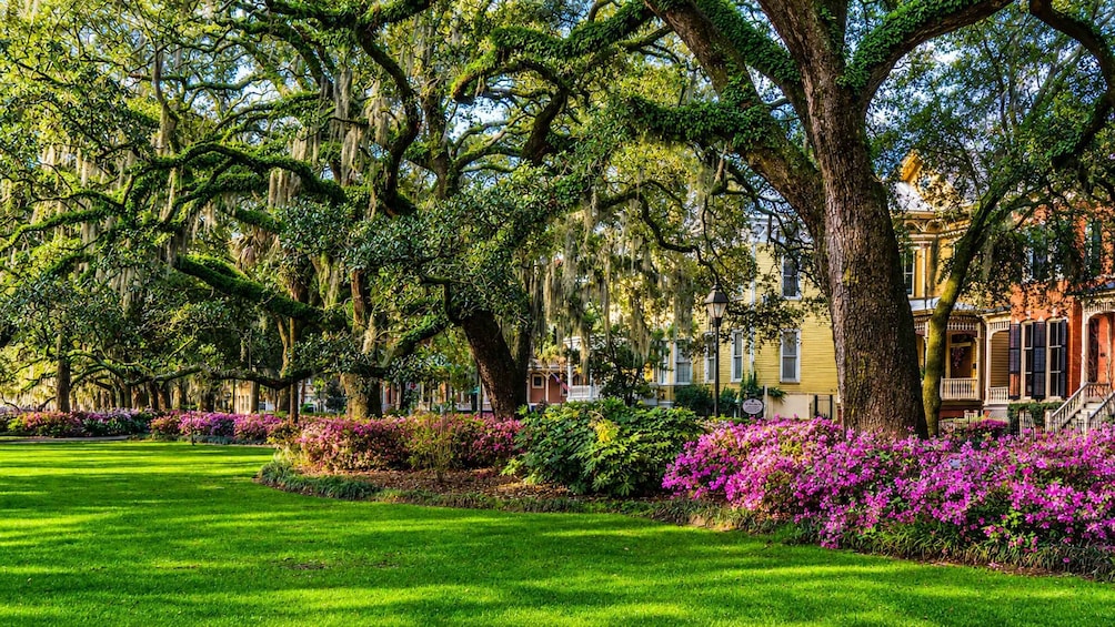 Picture 3 for Activity Hilton Head Island: Round-Trip Ferry Ticket to Savannah 2