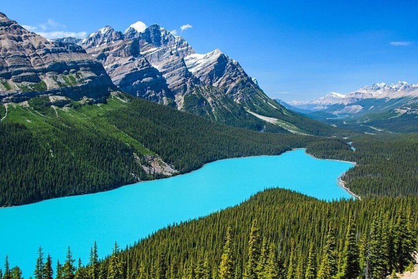 Best of Glaciers from Calgary/Canmore/Banff 5