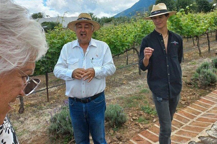 Full Day Tour in Finca Estramancia Vineyard with stop in Chapala 3