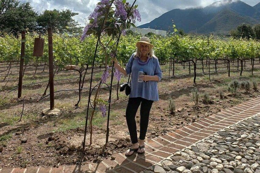 Full Day Tour in Finca Estramancia Vineyard with stop in Chapala 2