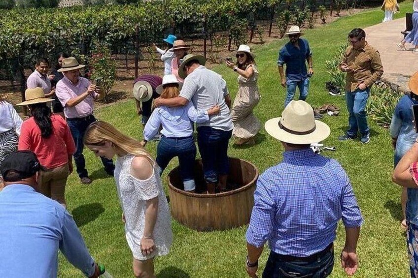 Full Day Tour in Finca Estramancia Vineyard with stop in Chapala 2