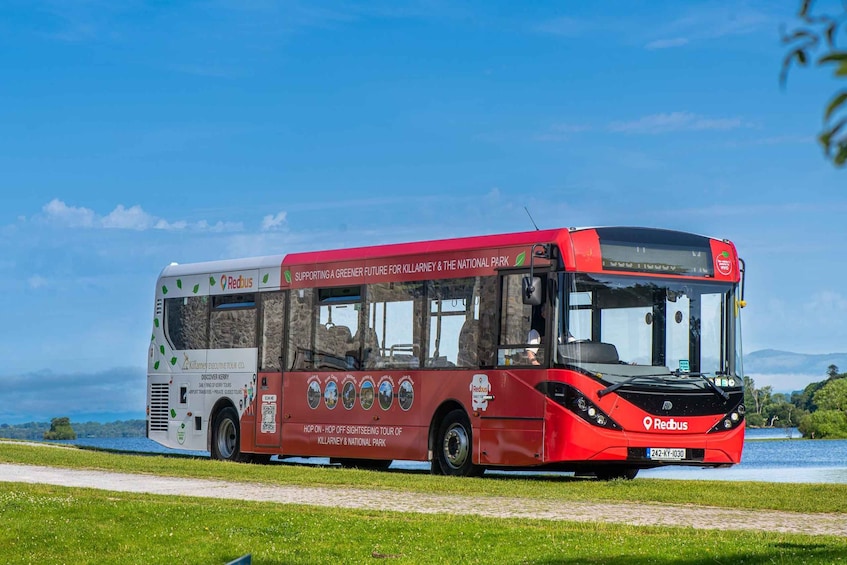 Picture 3 for Activity Killarney: Hop-On Hop-Off Bus to Killarney National Park 2