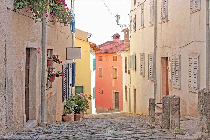 A cobblestone street lined with pastel-colored buildings, potted plants, and a street lamp. 3