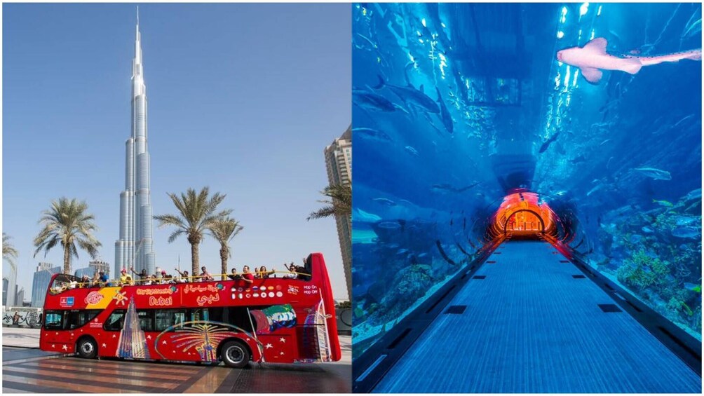 City Sightseeing Dubai Hop-On Hop-Off Bus Tour + Lost World Aquarium 1