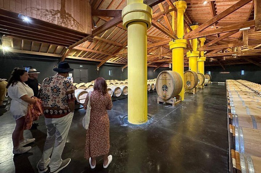 Small Group Tours and Tastings in the Médoc 3