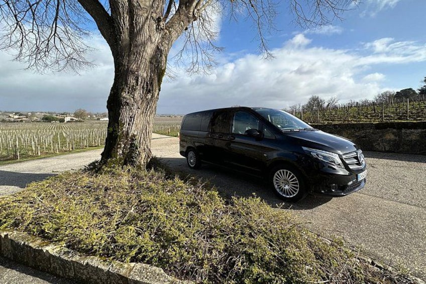 Small Group Tours and Tastings in the Médoc 2
