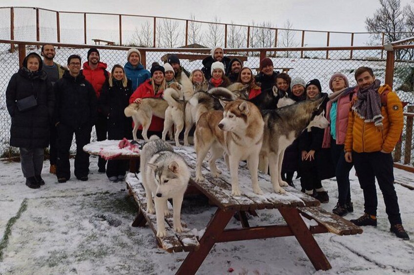 Husky Petting, in Akureyri 4