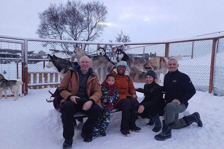 A group of people sitting on a bench in a snowy outdoor area with a fence and several dogs in the background. 2