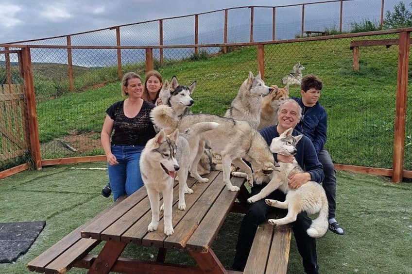 A group of people and dogs on a wooden bench in a fenced outdoor area with grass and hills in the background. 4