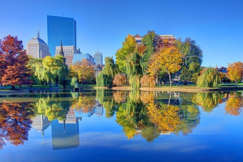 A cityscape with autumn trees reflecting in a calm body of water, a modern skyscraper, and historic buildings. 3